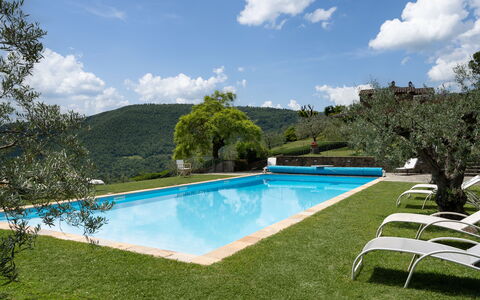 Villa Olivi - Subbiano, Toscana, Pool And Nature: Agua, Nube, Planta, Cielo, Propiedad, Piscina, Árbol, Paisaje Natural, Cuerpo De Agua, Sombra