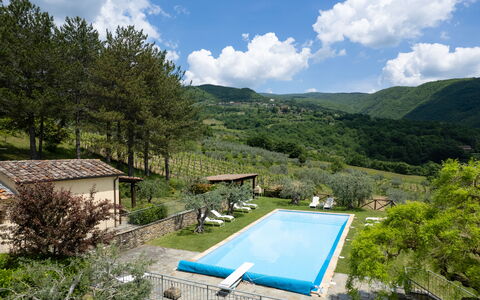 Villa Olivi - Subbiano, Toscana, Pool And Nature: Planta, Agua, Nube, Cielo, Propiedad, Piscina, Azur, Árbol, Paisaje Natural, Montaña