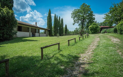 Borgo La Casina - Badia Agnano, Toscana: Nube, Cielo, Planta, Propiedad, Paisaje Natural, Árbol, El Terreno Del Lote, Luz De Sol, Cerca, Paisaje