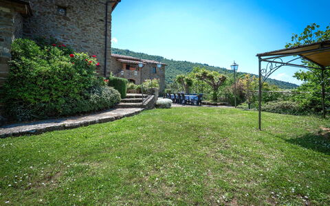 Colle Degli Ulivi - Cortona, Pool, Nature, Privacy: Planta, Cielo, Propiedad, Edificio, Hoja, El Terreno Del Lote, Vegetación, Paisaje Natural, Biome, Hierba