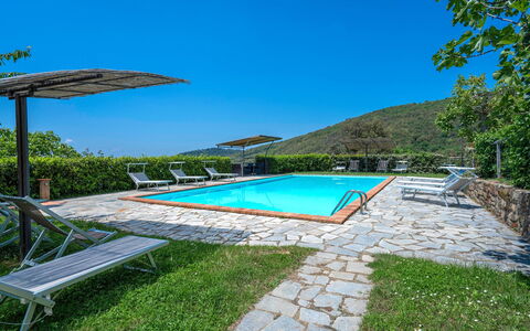 Colle Degli Ulivi - Cortona, Pool, Nature, Privacy: Agua, Cielo, Planta, Piscina, Paraguas, Mueble Para Exteriores, Edificio, Sombra, Rectángulo, Árbol