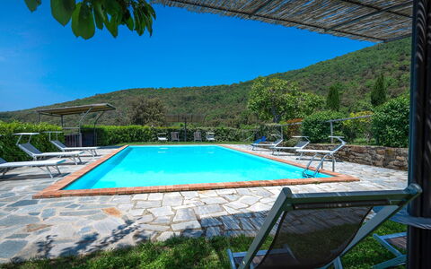 Colle Degli Ulivi - Cortona, Pool, Nature, Privacy: Agua, Cielo, Planta, Propiedad, Piscina, Azur, Silla, Sombra, Árbol, Edificio