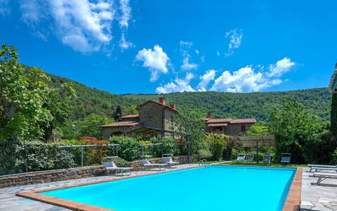 Colle Degli Ulivi - Cortona, Pool, Nature, Privacy: Agua, Nube, Cielo, Planta, Propiedad, Azul, Verde, Piscina, Azur, Árbol