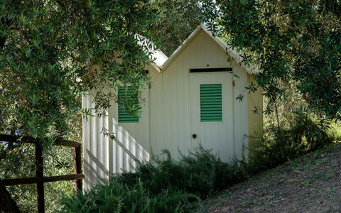 Luxury Green Marignana Villa, Versilia, Pool, Ac,: Planta, Entorno Natural, Madera, Edificio, Árbol, Puerta, Hierba, Plantas Leñosas, Paisaje Natural, Área Rural