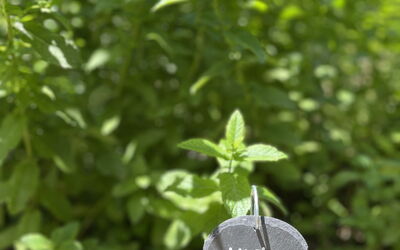 La Casa Dei Glicini - Levanto