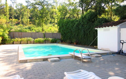 Pupa House: Planta, Propiedad, Piscina, Agua, Sombra, Árbol, Mueble Para Exteriores, Edificio, Piso, Suelo