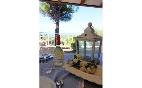 Pupa House: Sombra, Cielo, Árbol, Madera, Ocio, Edificio, Paisaje, Porche, Cabaña, Techo