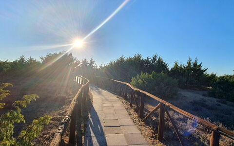 La Butterfly: Cielo, Planta, Paisaje Natural, Madera, Luz De Sol, Vía Pública, Árbol, Hierba, La Carretera, Paisaje