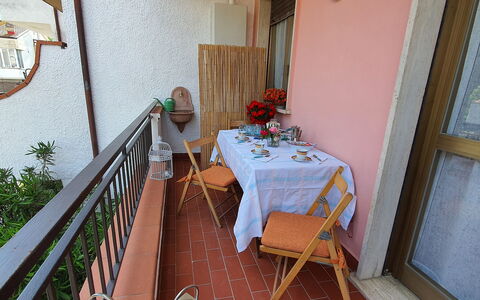 La Butterfly: Planta, Mesa, Propiedad, Mueble, Edificio, Planta De Casa, Madera, Diseño De Interiores, Maceta, Flor