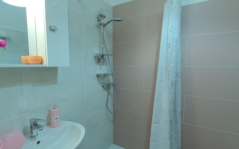 La Butterfly: Arreglo De Tubería, Propiedad, Lavabo, Grifo, Baño, Alcachofa De La Ducha, Ducha, Lavabo Del Baño, Suelo, Espejo