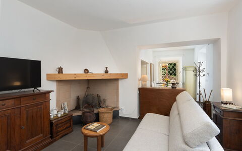 Casa Serra: Mueble, Propiedad, Comodidad, Planta, Madera, Planta De Casa, Encendiendo, Diseño De Interiores, Sala, Gabinetes