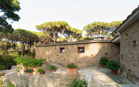 Villa La Pineta: Planta, Cielo, Propiedad, Edificio, Ventana, Árbol, Cabaña, Casa, Maceta, Barrio