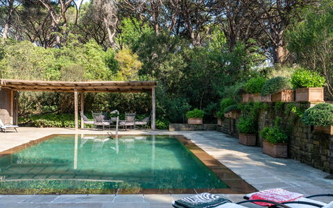 Villa La Pineta: Planta, Agua, Piscina, Árbol, Hierba, Ocio, Barrio Residencial, Sombra, Bienes Raíces, Paisaje