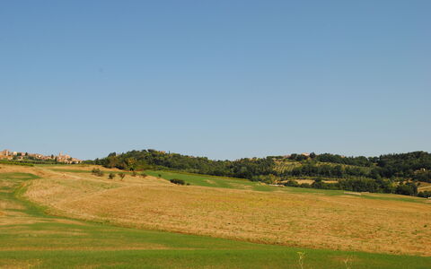 Lina - Podere Ribatti - Casole D'elsa, Toscana: Cielo, Planta, Paisaje Natural, Pendiente, Árbol, Agricultura, Llanura, Accidentes Geográficos Montañosas, Hierba, Pradera