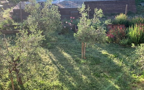 Alice - Podere Ribatti - Casole D'elsa, Toscana: Planta, Planta De La Comunidad, Paisaje Natural, Árbol, El Terreno Del Lote, Ventana, Hierba, Vehículo, Pradera, Cobertura Del Suelo