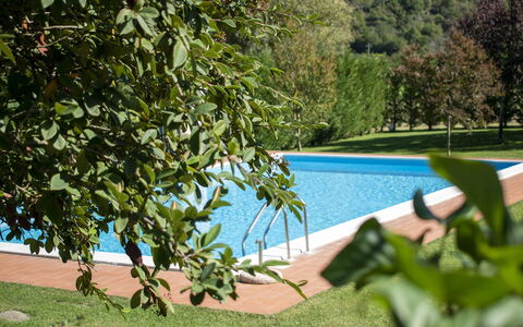 Villa Niccone: Agua, Planta, Planta De La Comunidad, Verde, Sombra, Piscina, Vegetación, Mueble Para Exteriores, Cuerpo De Agua, Hierba