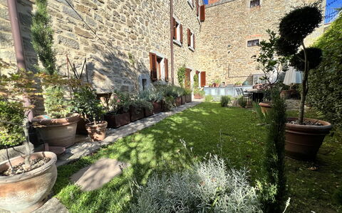 The Architects House: Planta, Propiedad, Maceta, Edificio, Ventana, Encendiendo, Vegetación, Planta De Casa, Superficie De La Carretera, Hierba