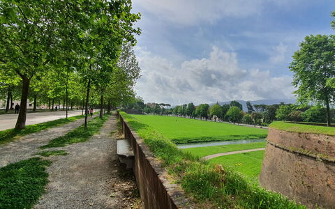 Casa Toto: Verde, Hierba, Llanura, Cobertura Del Suelo, Jardín, Césped, Paisajismo, Pasarela, Parque, Plantación