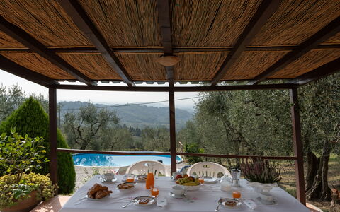 Casa Mimy: Mesa, Mueble, Vajilla, Planta, Árbol, Sombra, Diseño De Interiores, Silla, Copa De Vino, Mueble Para Exteriores