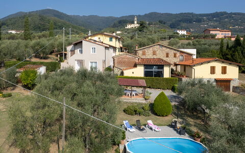 Casa Mimy: Cielo, Edificio, Propiedad, Planta, Montaña, Árbol, Piscina, Casa, Barrio Residencial, Bienes Raíces