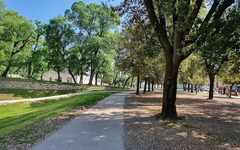 La Colonna: Planta, Cielo, Árbol, Superficie De La Carretera, Sombra, Paisaje Natural, Vía Pública, Hierba, Paisaje, Asfalto