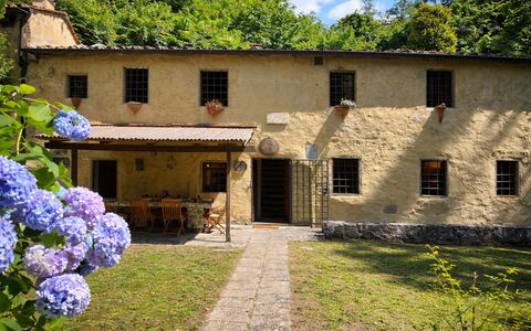 Molin Barletta, Private Pool, Nature - Marliana, T: Casa, Arbusto, Cabaña, Inmuebles, Área Rural, Patio Interior, Jardín, Yarda, Hacienda, Césped