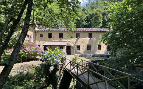 Molin Barletta, Private Pool, Nature - Marliana, T: Planta, Ventana, Edificio, Árbol, Paisaje Natural, Casa, Bienes Raíces, Flor, Cabaña, Madera