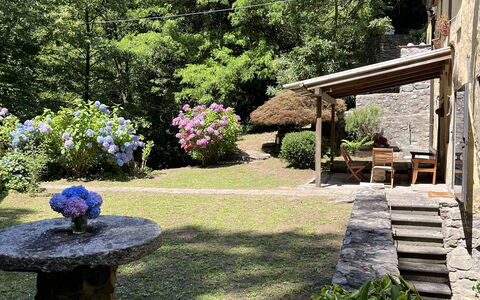 Molin Barletta, Private Pool, Nature - Marliana, T: Planta, Botánica, Hoja, Paisaje Natural, Árbol, Vegetación, Hierba, Cielo, Paisaje, Arbusto