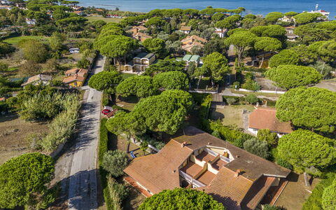 Argentario Giannella Apartment- Orbetello, Toscana: Planta, Agua, Vegetación, Árbol, El Terreno Del Lote, Diseño Urbano, Biome, Hierba, Paisaje Natural, Barrio