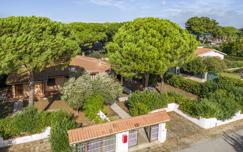Giannella Apartment - Orbetello, Toscana: Planta, Cielo, Nube, Propiedad, Árbol, Diseño Urbano, El Terreno Del Lote, Paisaje, Ventana, Arbusto