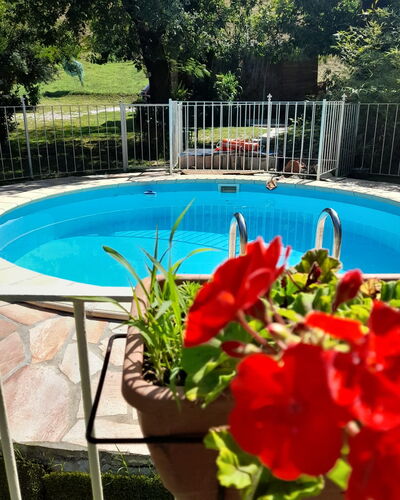 Podere Elsa: Agua, Flor, Planta, Edificio, Piscina, Maceta, Árbol, Azur, Botánica, Cerca