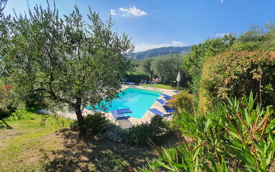 Al Vecchio Metato: Planta, Agua, Los Recursos Hídricos, Cielo, Nube, Paisaje Natural, Árbol, El Terreno Del Lote, Piscina, Ocio