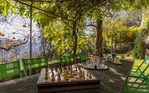 La Casa Dei Limoni, Camaiore, Pet Friendly, Wifi: Planta, Mesa, Sombra, Árbol, Luz De Sol, Paisaje Natural, Silla, Paisaje, Ocio, Mueble Para Exteriores