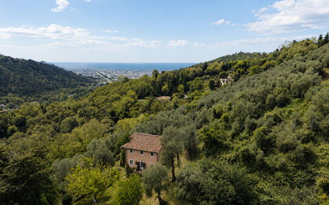 La Casa Dei Limoni, Camaiore, Pet Friendly, Wifi: Hoja, Entorno Natural, Naturaleza, Vegetación, Paisaje Natural, Colina, Tierras Altas, Paisaje, Ecorregión, Planta De La Comunidad