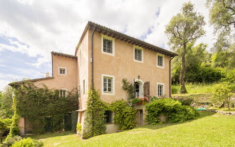 La Casa Dei Limoni, Camaiore, Pet Friendly, Wifi: Árbol, Hierba, Casa, Arbusto, Casa, Área Rural, Cabaña, Paisaje, El Terreno Del Lote