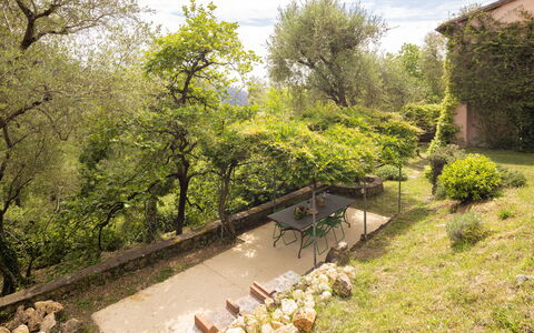 La Casa Dei Limoni, Camaiore, Pet Friendly, Wifi: Hoja, Vegetación, Arbusto, Jardín, Planta De La Comunidad, Área Rural, Primavera, Patio Interior, Paisajismo