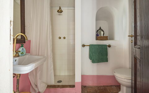 La Casa Dei Limoni, Camaiore, Pet Friendly, Wifi: Pared, Diseño De Interiores, Piso, Suelo, Baño, Arreglo De Tubería, Rosado, Habitación, Plomería, Loseta
