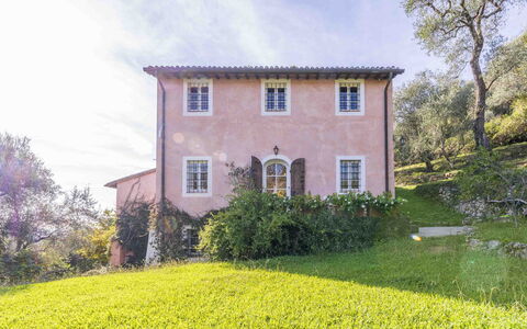 La Casa Dei Limoni, Camaiore, Pet Friendly, Wifi: Vegetación, Arbusto, Casa, Área Rural, Planta De La Comunidad, Cabaña, Casa, Primavera, Cobertura Del Suelo, Jardín