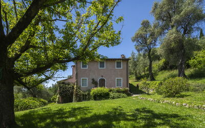 La Casa Dei Limoni, Camaiore, Pet Friendly, Wifi