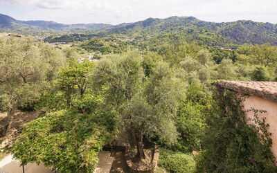 La Casa Dei Limoni, Camaiore, Pet Friendly, Wifi
