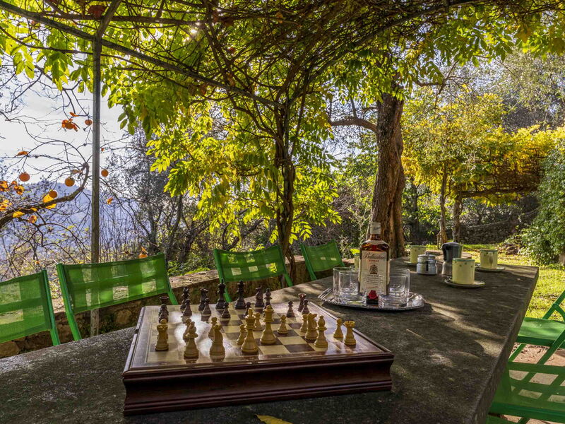 La Casa Dei Limoni, Camaiore, Pet Friendly, Wifi