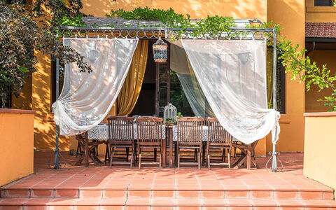 Tenuta De Paoli - Chianni, Pool, Wifi, Privacy, To: Propiedad, Mueble, Decoración, Silla, Textil, Sombra, Diseño De Interiores, Madera, Mesa, Planta