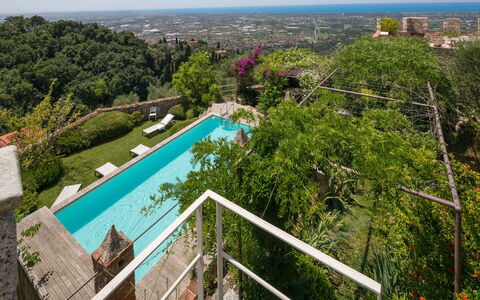 Villa Maestosa - Camaiore, Toscana: Agua, Propiedad, Cielo, Botánica, Edificio, Árbol, Planta, Arquitectura, Vegetación, Diseño Urbano