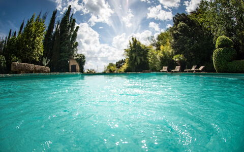 Palazzo Trasimeno: Nube, Agua, Cielo, Planta, Paisaje Natural, Árbol, Piscina, Costeras Y Los Accidentes Geográficos Oceánico, Arecales, Lago