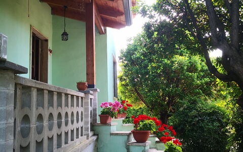 Franco House With Pool: Flor, Planta, Edificio, Maceta, Casa, Árbol, Madera, Ventana, Superficie De La Carretera, Sombra