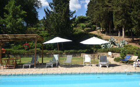 Podere Le Muricce: Agua, Planta, Nube, Paraguas, Cielo, Piscina, Árbol, Sombra, Silla, Mueble Para Exteriores