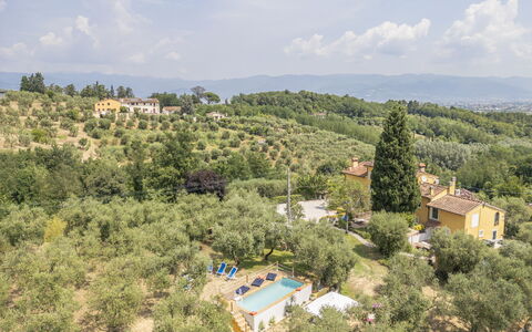 Country House Casalguidi 191 Private Pool: Árbol, Área Rural, Inmuebles, Casa De Campo, Plantación, Villa, Hacienda