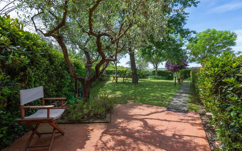 Casa Bellosguardo a Vinci: Planta, Planta De La Comunidad, Cielo, Sombra, Paisaje Natural, El Terreno Del Lote, Árbol, Plantas Leñosas, Superficie De La Carretera, Ocio