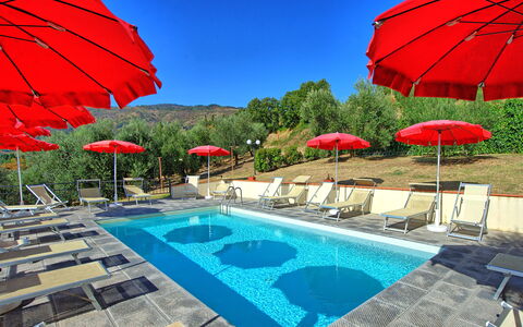 Casalta: Agua, Cielo, Planta, Propiedad, Paraguas, Piscina, Azul, Azur, Sombra, Mueble Para Exteriores