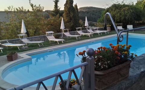 Villa Delle Palme: Agua, Planta, Piscina, Azul, Azur, Árbol, Cielo, Mueble Para Exteriores, Maceta, Flor